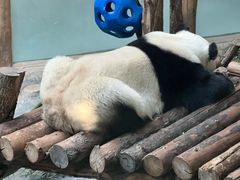 -青藏高原野生动物园