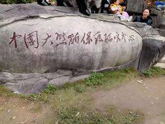 -都江堰中华大熊猫苑