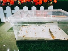 -上海昆虫博物馆