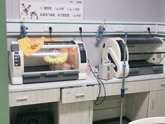 -半岛宠物医院24小时(科华中路店)