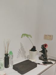 -WENDY·温迪皮肤管理