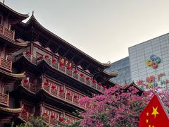 -越秀西湖花市(广州城市广场花卉店)
