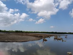 -宁波杭州湾国家湿地公园