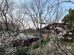 -西溪国家湿地公园