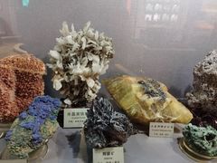 -陕西自然博物馆