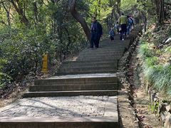 -苏州上方山国家森林公园