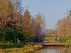 -云溪植物园