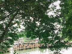 -乌镇景区
