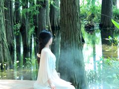-东湖落雁景区