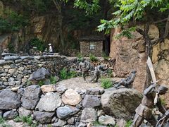 -妙峰山风景名胜区