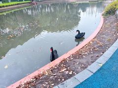 -华东师范大学第二附属中学(张江校区)