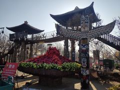 -呀路古热带植物园