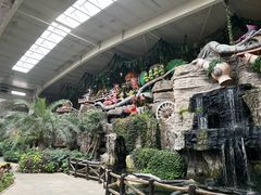 -南宫五洲植物乐园