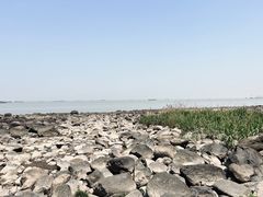-上海吴淞炮台湾国家湿地公园