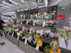 -鹿岛生活(熙地港店)