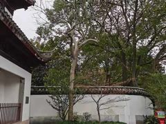 -汇龙潭