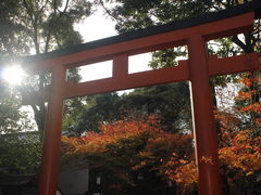 -难波八坂神社