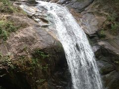 -九龙江国家森林公园