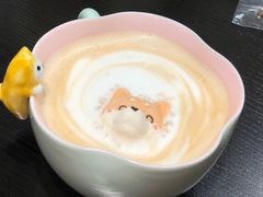 -逗柴咖啡屋·狗咖猫咖宠物桌游