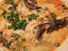 -川味堂·四川豆花(八卦岭店)