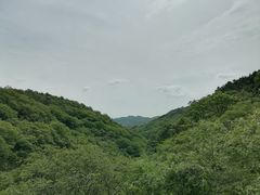 -皖西大裂谷