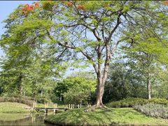 -中国科学院西双版纳热带植物园