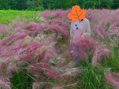 -桤木河湿地公园