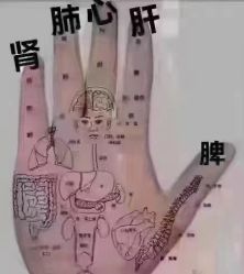 -香薇妮丝女子减肥院