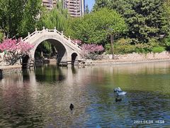 -团结湖公园