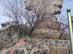 -轿顶山景区