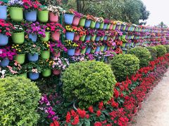 -揭东万竹园旅游景区