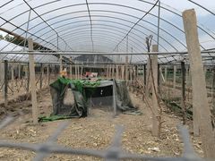 -美家乐农庄·露营·团建(大治路店)