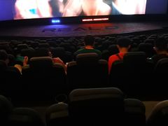 -奥斯卡升龙国际影城(RealD Cinema)