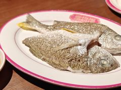 -春梅里卤鹅馆·47年老字号(中山路店)