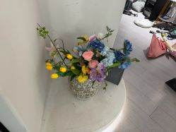 -星光兔·西扶海棠·写真馆(景德镇店)