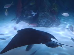 -沈阳海洋探索中心