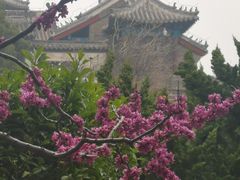 -蓬莱阁景区