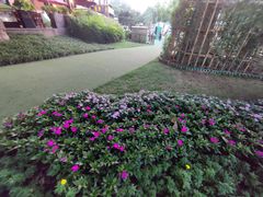 -西安电影制片厂