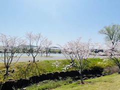 -羊山湖公园