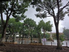 -仙岳公园