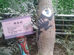 -呀路古热带植物园
