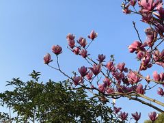 -凤凰沟景区