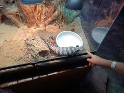 -酷嗒动物文化乐园(cutezoo西溪乐天城店)