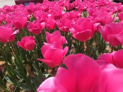 -公益图书馆(江南大学店)