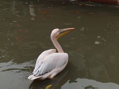 -广州长隆飞鸟乐园