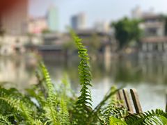 -东莞市可园博物馆