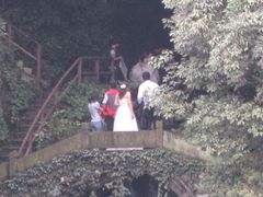 拍婚纱照的很辛苦-九溪烟树