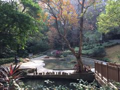 iphone_upload_pic-香港大学