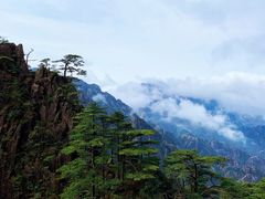 -黄山风景区