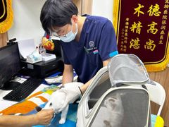 -瑞鹏宠物医院·内科·中兽医·骨科(苗圃店)